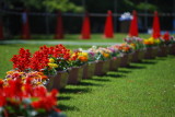 img0000.jpg