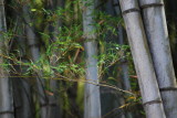 img0029.jpg