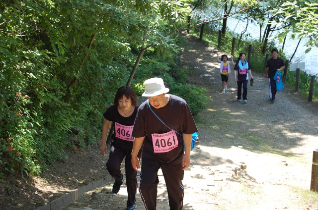 img0088.jpg