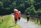 img0010.jpg