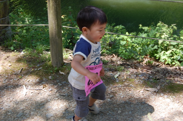 img0026.jpg