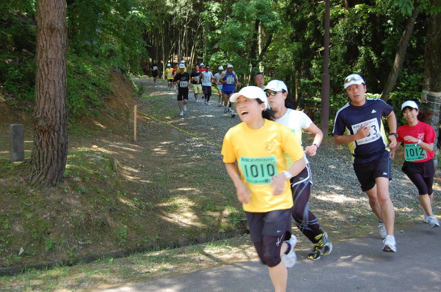 img0076.jpg