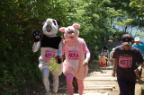 img0006.jpg