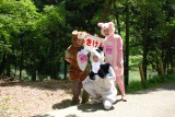 img0036.jpg