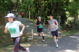 img0074.jpg