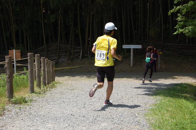 img0041.jpg