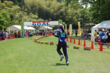 img0071.jpg
