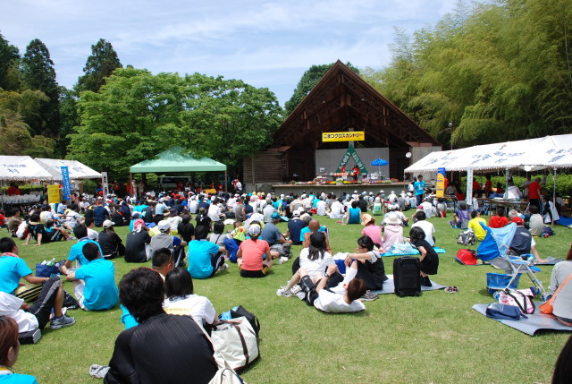 img0056.jpg