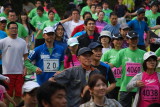 img0042.jpg