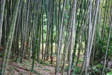 img0068.jpg