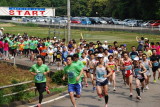 img0087.jpg
