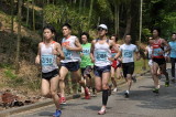 img0101.jpg