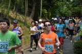 img0108.jpg