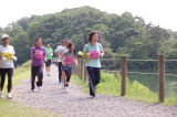 img0061.jpg