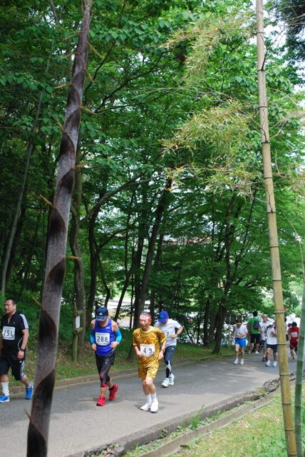 img0073.jpg