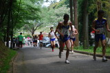 img0053.jpg