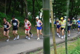 img0069.jpg
