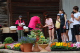 img0105.jpg