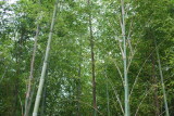 img0067.jpg